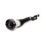 Arnott Industries Air Suspension Strut P/N:AS-2603