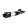 Arnott Industries Air Suspension Strut P/N:AS-2294