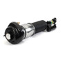Arnott Industries Air Suspension Strut P/N:AS-3374