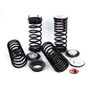 Arnott Industries Air Spring to Coil Spring Conversion Kit P/N:C-2227