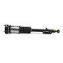Arnott Industries Air Suspension Strut P/N:AS-2821