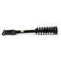Arnott Industries Suspension Strut and Coil Spring Assembly P/N:SK-3978