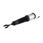 Arnott Industries Air Suspension Strut P/N:AS-2560
