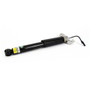Arnott Industries Suspension Shock Absorber MR-4360 - view 2