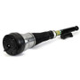 Arnott Industries Air Suspension Strut P/N:AS-3463
