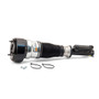 Arnott Industries Air Suspension Strut P/N:AS-2540