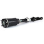 Arnott Industries Air Suspension Strut P/N:AS-3088