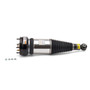 Arnott Industries Air Suspension Strut P/N:AS-2891