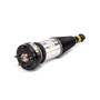 Arnott Industries Air Suspension Strut P/N:AS-2891