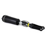 Arnott Industries Air Suspension Strut P/N:AS-2394