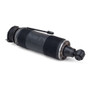Arnott Industries Suspension Strut SK-2473