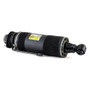 Arnott Industries Suspension Strut SK-2414 - view 5