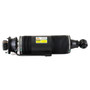Arnott Industries Suspension Strut SK-2415
