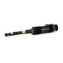 Arnott Industries Suspension Strut P/N:SK-2461