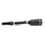 Arnott Industries Air Suspension Strut AS-2450