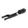 Arnott Industries Air Suspension Strut AS-2450 - view 2