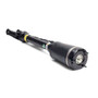 Arnott Industries Air Suspension Strut P/N:AS-2450