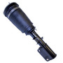 Westar Air Suspension Strut P/N:AS-7317