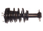 Westar Suspension Strut P/N:AS-7208WS