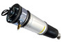 Westar Air Suspension Strut P/N:AS-7385