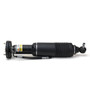 Arnott Industries Suspension Strut SK-2418