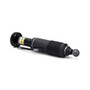 Arnott Industries Suspension Strut SK-2417
