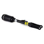 Arnott Industries Air Suspension Strut AS-2463 - view 5