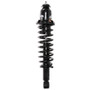 PRT Suspension Strut and Coil Spring Assembly P/N:710983