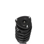 PRT Suspension Strut and Coil Spring Assembly P/N:813403