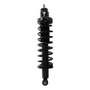 PRT Suspension Strut and Coil Spring Assembly P/N:710862