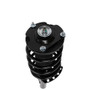 PRT Suspension Strut and Coil Spring Assembly P/N:814079