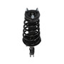 PRT Suspension Strut and Coil Spring Assembly P/N:814587