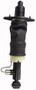 Westar Air Suspension Strut P/N:AS-7323