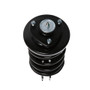 PRT Suspension Strut and Coil Spring Assembly P/N:814405