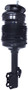 Westar Air Suspension Strut P/N:AS-7388