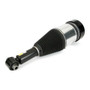 Arnott Industries Air Suspension Strut P/N:AS-3801