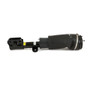 Arnott Industries Air Suspension Strut AS-2757 - view 6