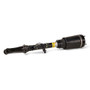 Arnott Industries Air Suspension Strut AS-2802 - view 3