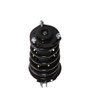 PRT Suspension Strut and Coil Spring Assembly P/N:814908