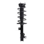 PRT Suspension Strut and Coil Spring Assembly P/N:920178