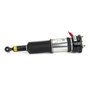 Arnott Industries Air Suspension Strut P/N:AS-3074