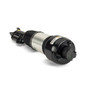 Arnott Industries Air Suspension Strut AS-2301 - view 3