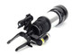 Arnott Industries Air Suspension Strut P/N:AS-2295