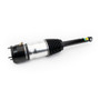Arnott Industries Air Suspension Strut P/N:AS-4329