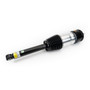 Arnott Industries Air Suspension Strut P/N:AS-4329