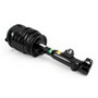 Arnott Industries Air Suspension Strut P/N:AS-3896