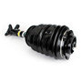 Arnott Industries Air Suspension Strut P/N:AS-3896