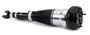 Arnott Industries Air Suspension Strut P/N:AS-3163