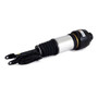 Arnott Industries Air Suspension Strut AS-2245 - view 3