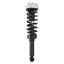 PRT Suspension Strut and Coil Spring Assembly P/N:920435